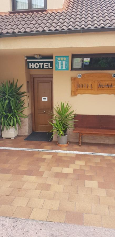 Hotel Alina Cangas De Narcea Exterior foto