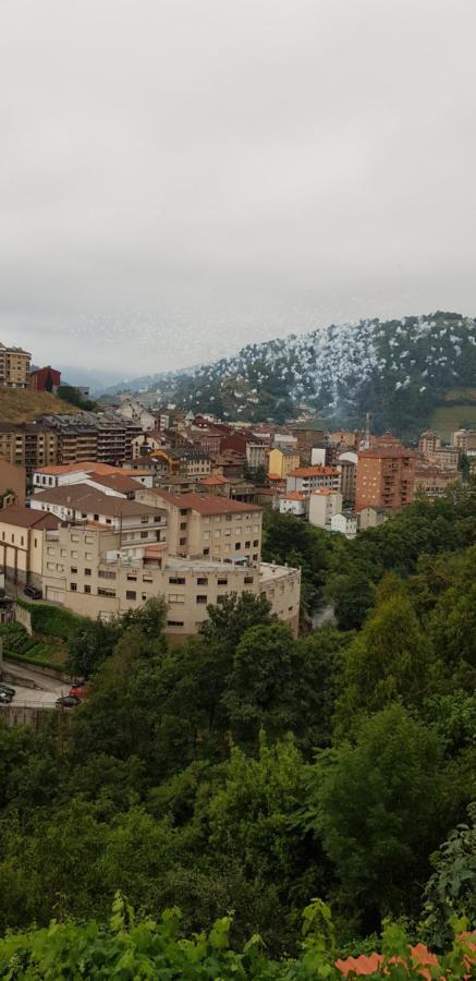 Hotel Alina Cangas De Narcea Exterior foto